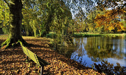 Chansons russes: L'automne sur la terre, traduction www.russievirtuelle.com